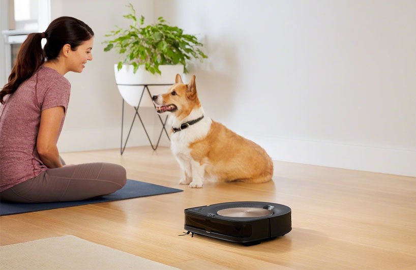 tại sao thú cưng sợ máy hút bụi